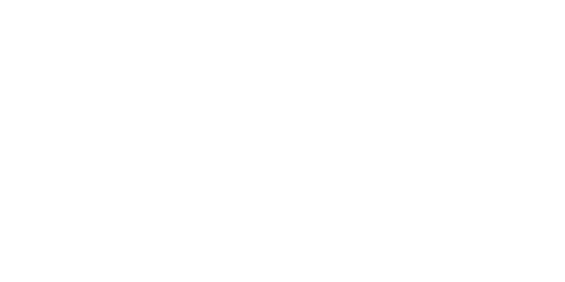 INSTec_Logo_weiss